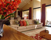 Eco Esate Dreamhome