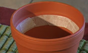 Textured Pots